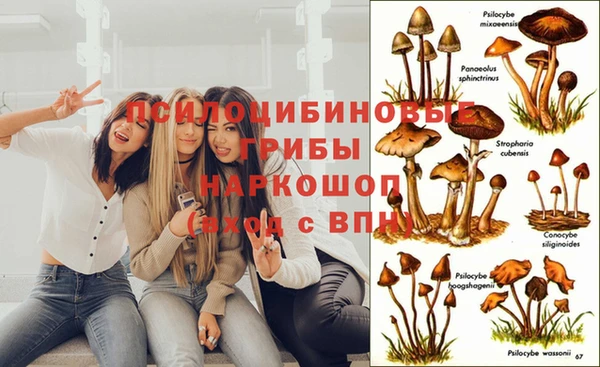 кокс Абдулино