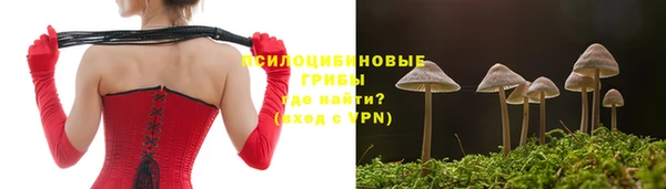 хмурый Алексеевка