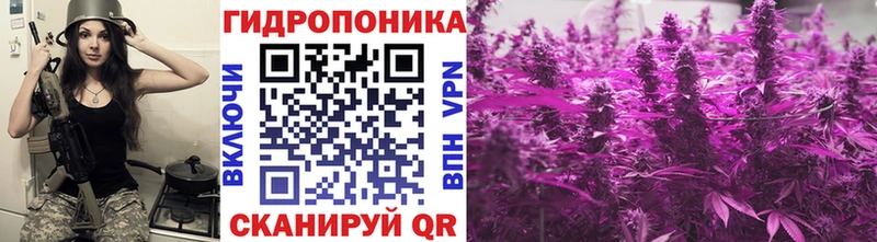 Канабис OG Kush  Зубцов 